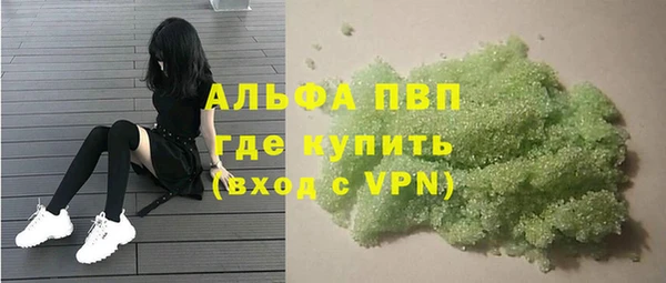 прущие грибы Пролетарск