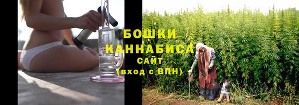 прущие грибы Пролетарск