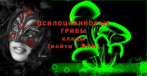 прущие грибы Пролетарск